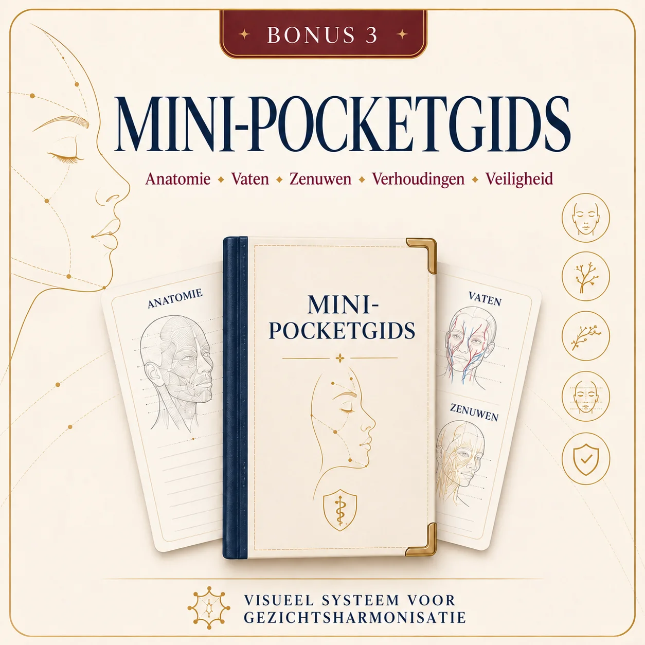 Bonus 3 — Mini Zakgids
