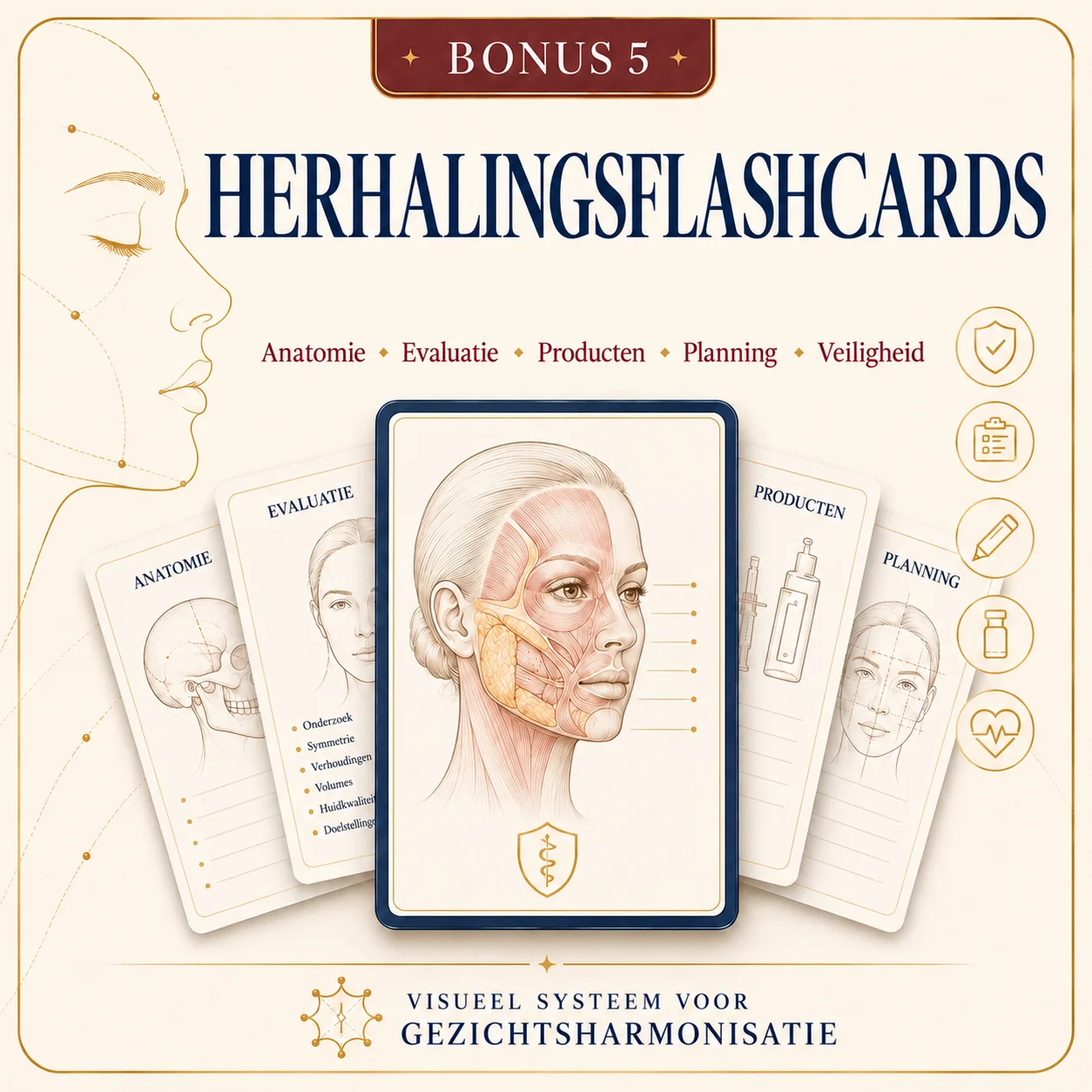 Bonus 5 — Flashcards voor Herhaling