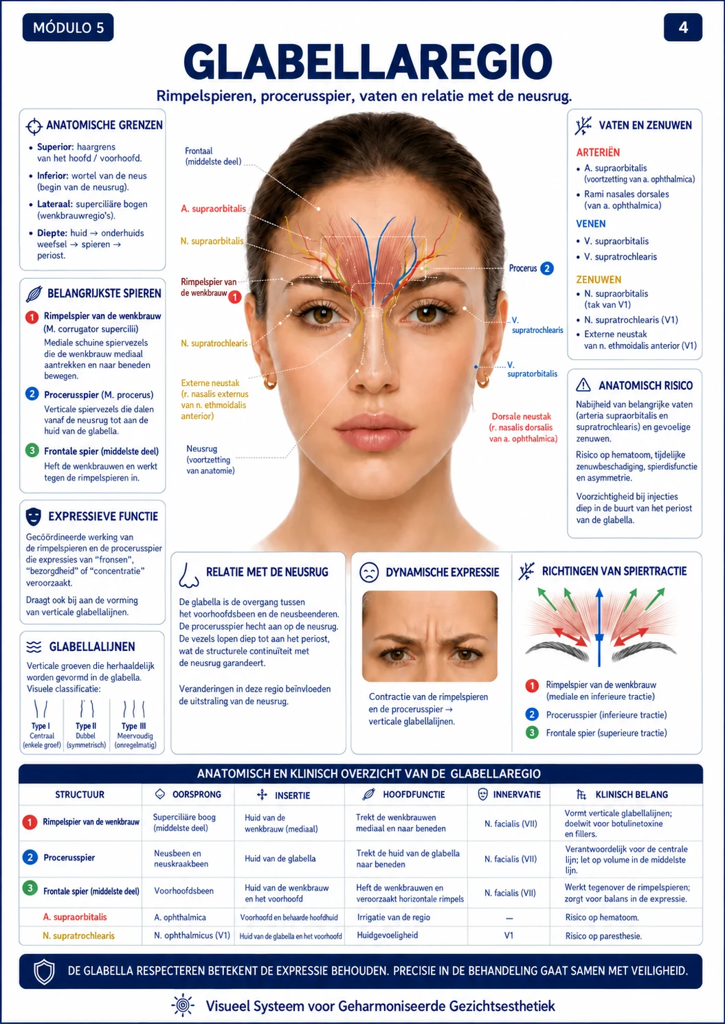 Glabella regio